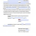 Vermont Minor Child Power of Attorney Form Vermont Minor Child Power of Attorney Form