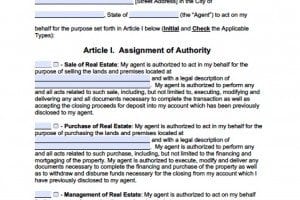 Delaware Real Estate ONLY Power of Attorney Form