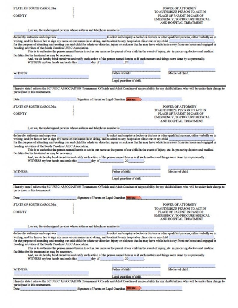 Free South Carolina Power Of Attorney Forms In Fillable Pdf 9 Types