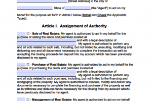 Virginia Real Estate ONLY Power of Attorney Form