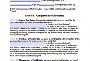 West Virginia Real Estate ONLY Power of Attorney Form