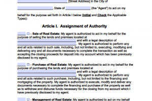 Wisconsin Real Estate ONLY Power of Attorney Form